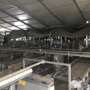 MAF RODA Presorting and Packing Line for Round Fruit